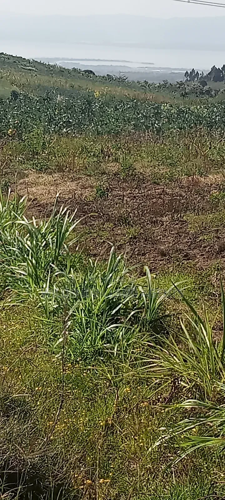 Land on Sale at Kinungi Naivasha in Biashara