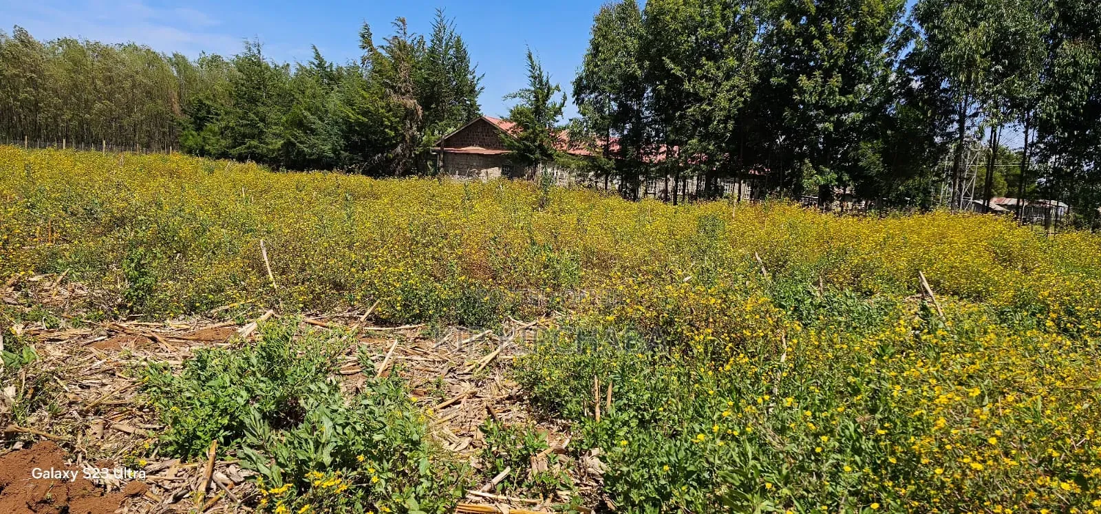 1⁄4 Plots For Sale In Hillside Limo Side Sayare In Eldoret in Hillside