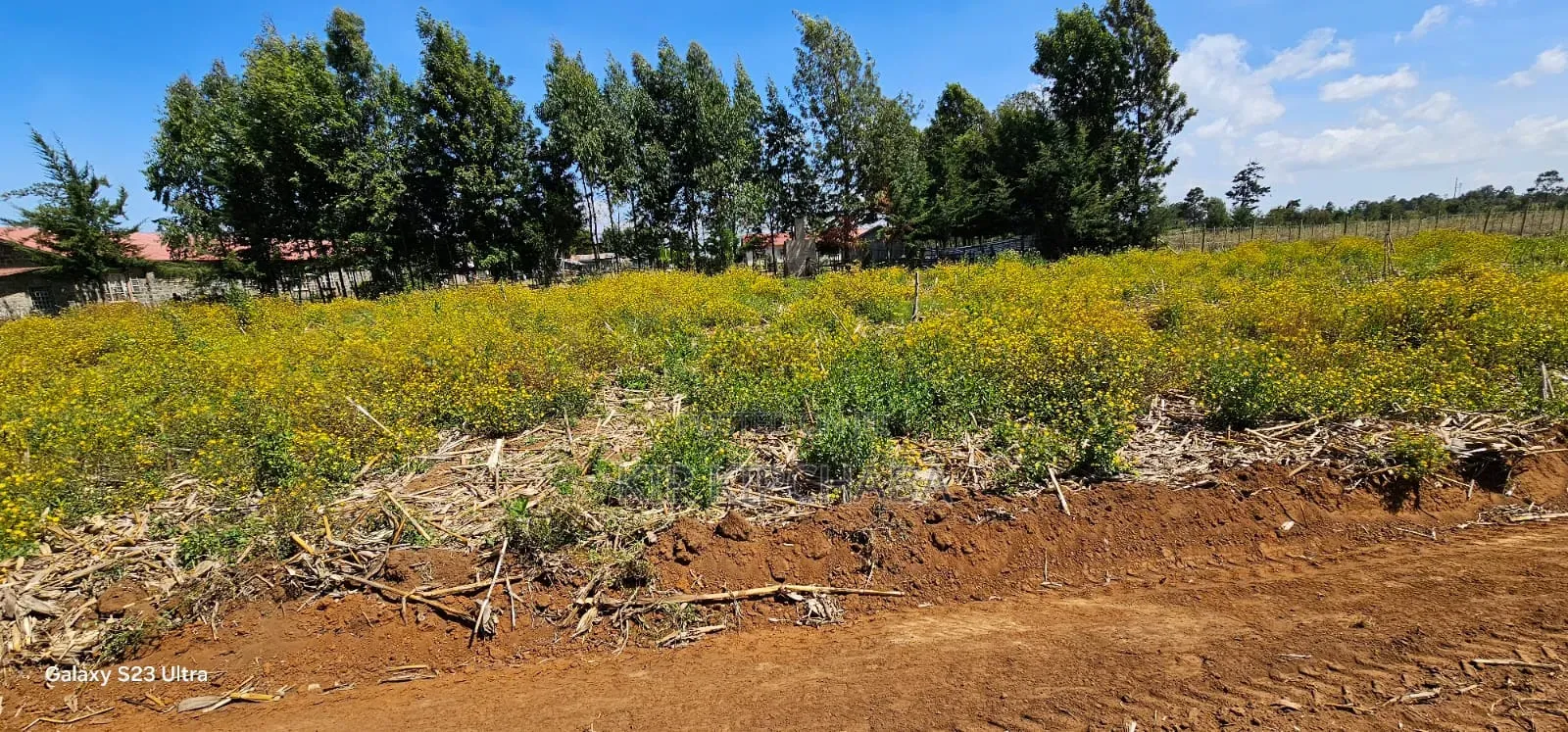 1⁄4 Plots For Sale In Hillside Limo Side Sayare In Eldoret in Hillside