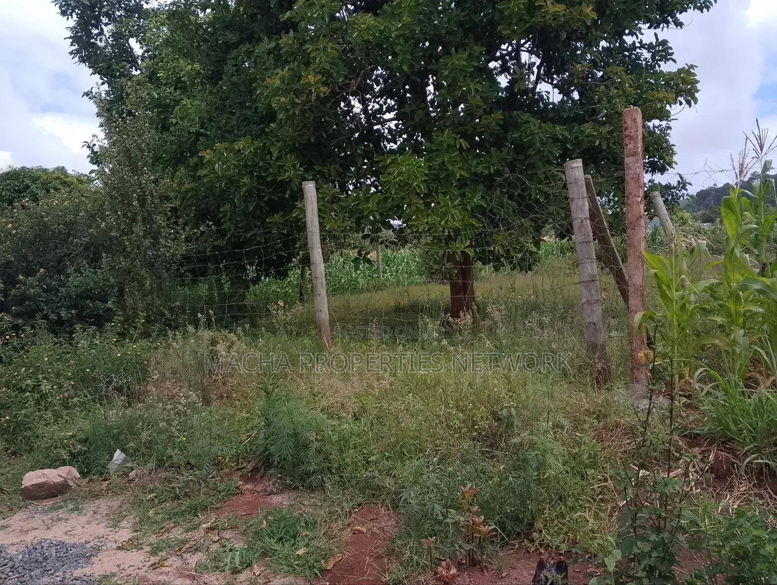 50 by 100ft Plot -Machakos -Mumbuni in Mumbuni
