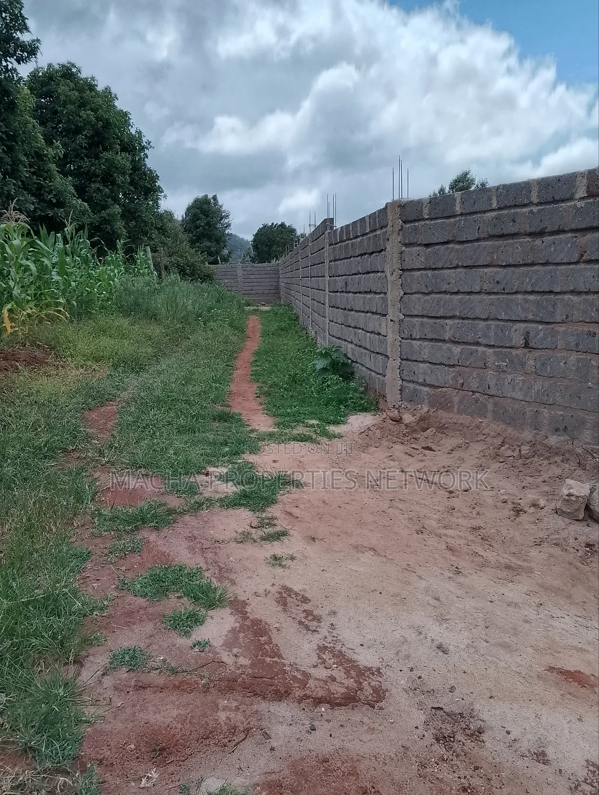 50 by 100ft Plot -Machakos -Mumbuni in Mumbuni