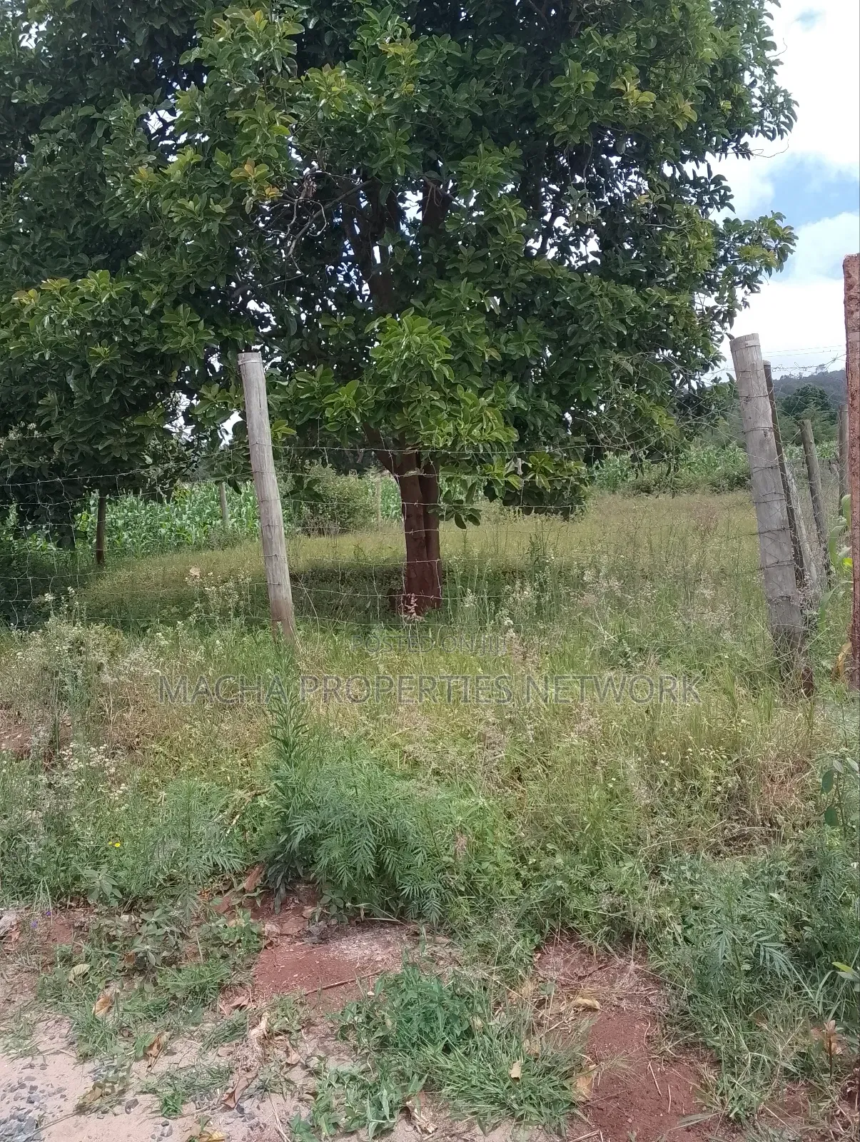 50 by 100ft Plot -Machakos -Mumbuni in Mumbuni