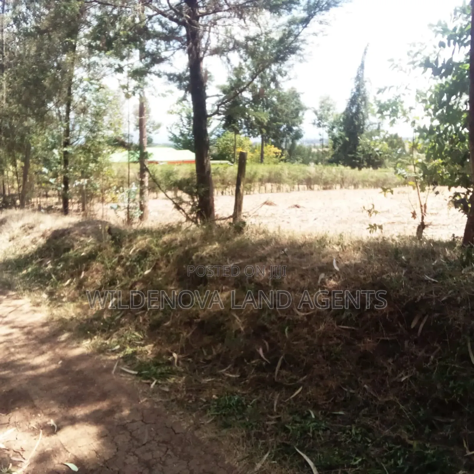 Land on Sale at Nyandarua in North Kinangop