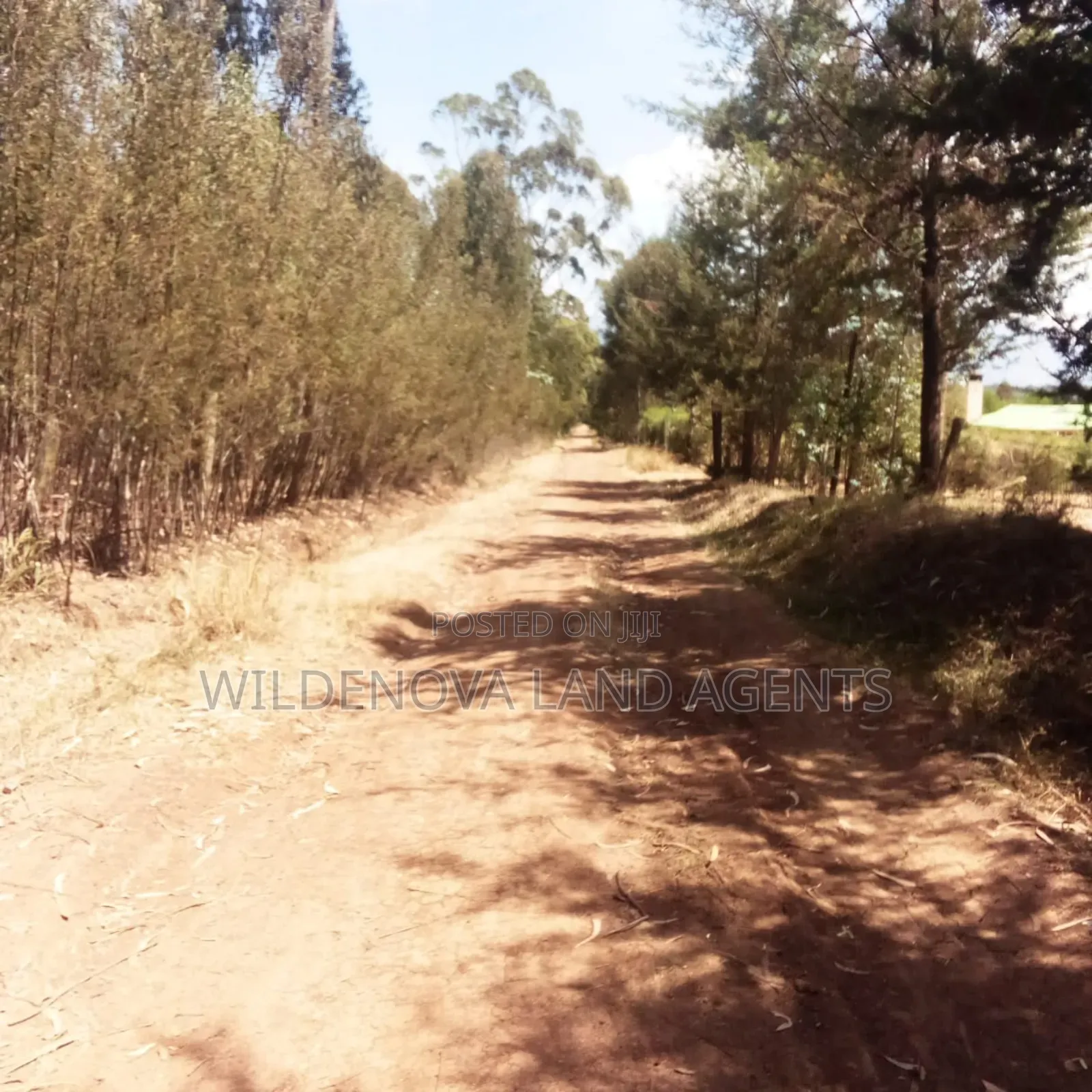 Land on Sale at Nyandarua in North Kinangop