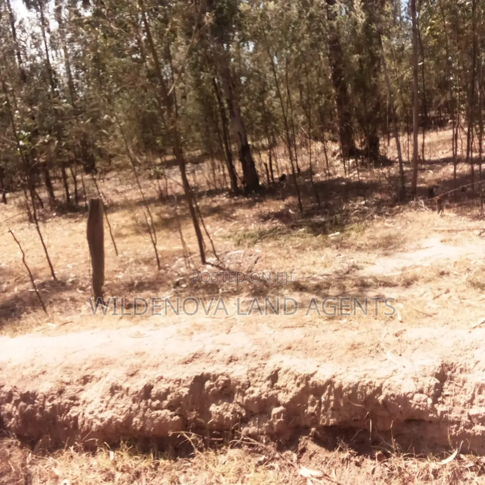 Land on Sale at Nyandarua in North Kinangop