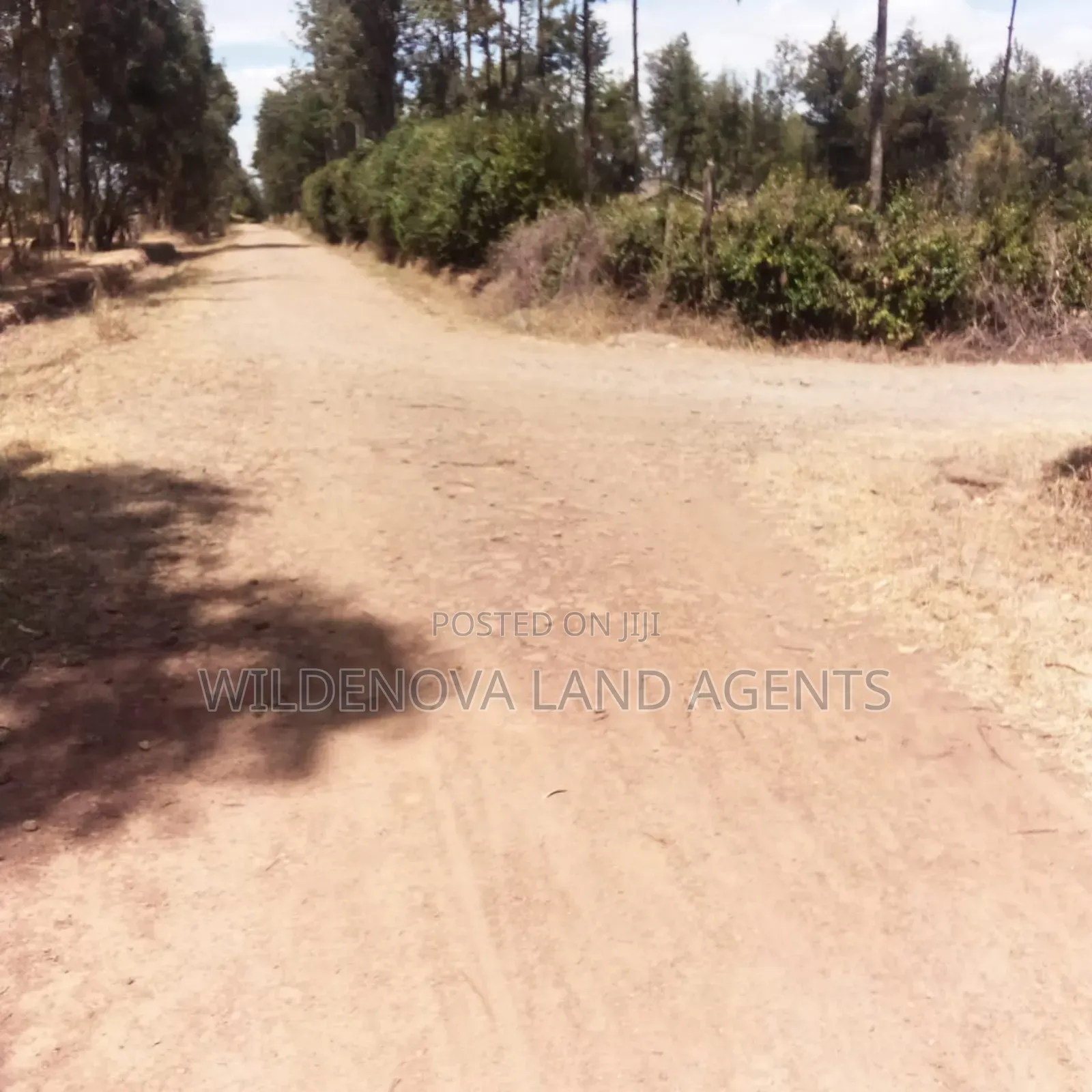 Land on Sale at Nyandarua in North Kinangop