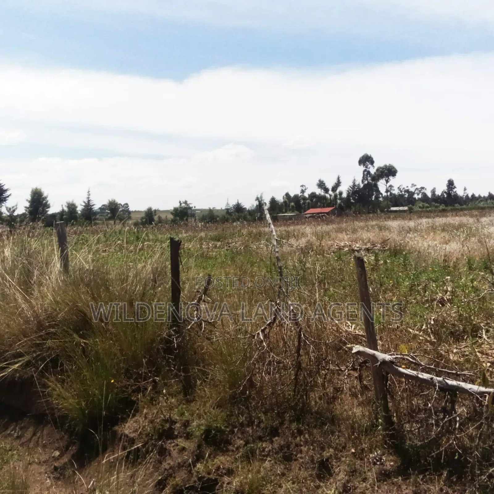 Land on Sale at Nyandarua in North Kinangop