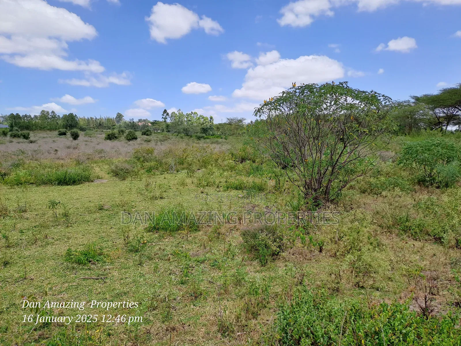6 Acres Along Isinya Rd for Sale 15km FRM Kiserian Town in Kiserian