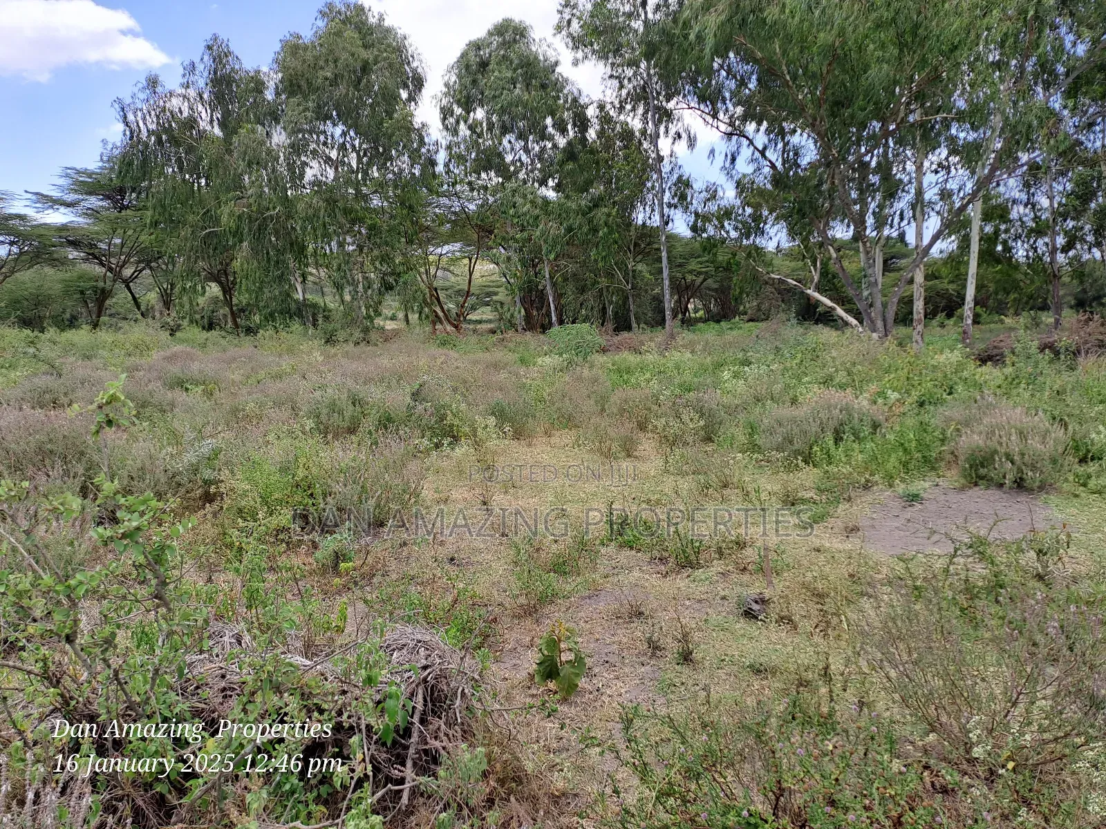 6 Acres Along Isinya Rd for Sale 15km FRM Kiserian Town in Kiserian