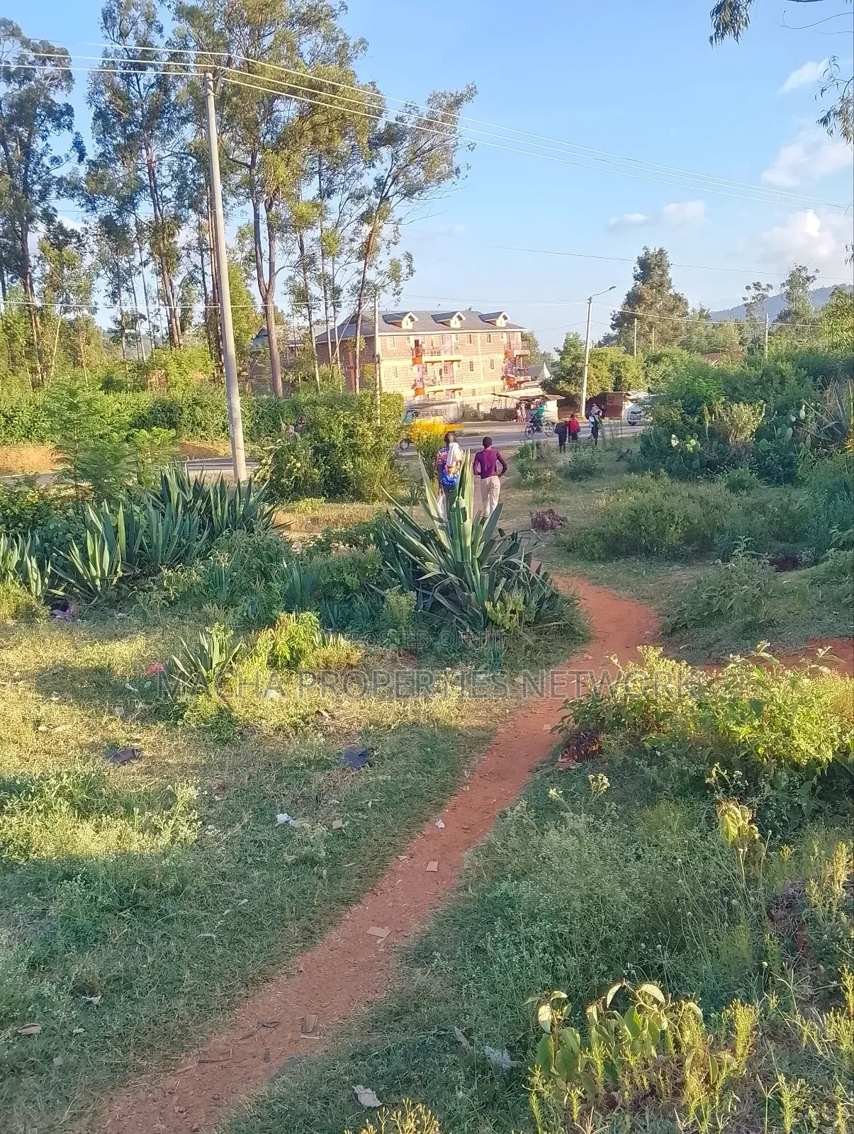 Machakos -Mumbuni Multiple Plots 50by 100,100x100ft , Etc in Mumbuni