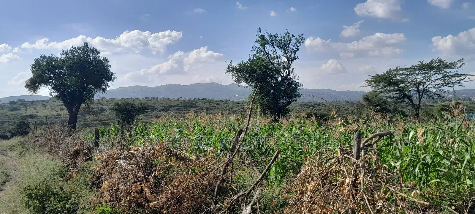 Quarter of an Acre at 3.5m in Kiserian
