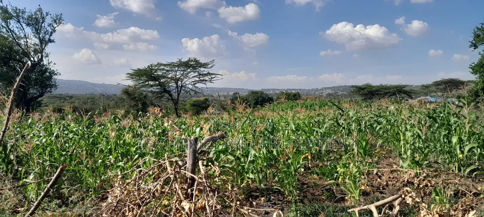 Quarter of an Acre at 3.5m in Kiserian