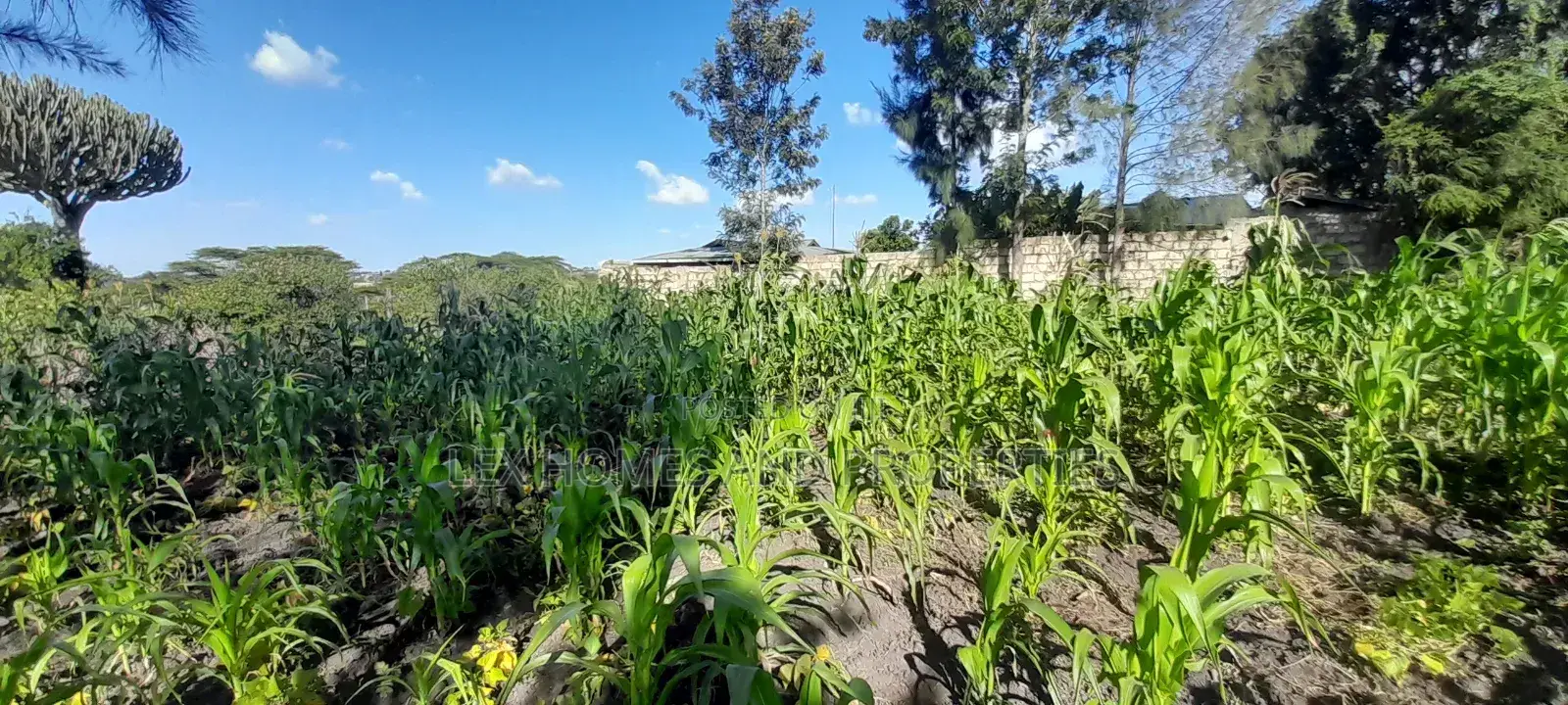 Quarter of an Acre at 3.5m in Kiserian