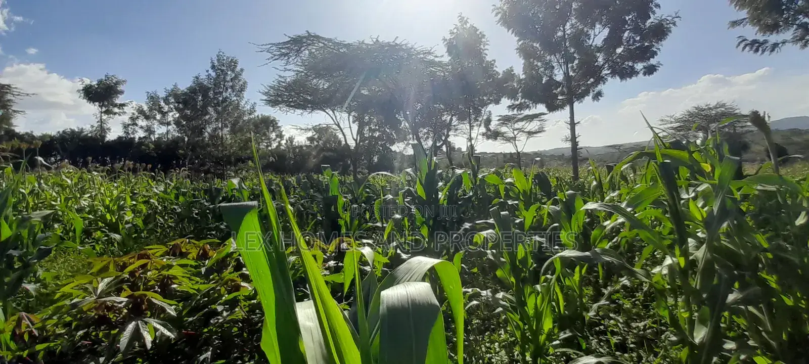 Quarter of an Acre at 3.5m in Kiserian