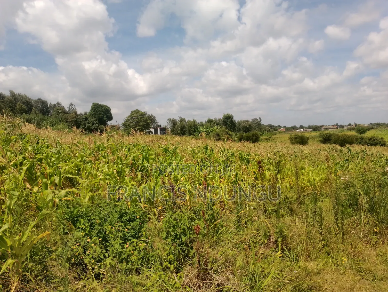 Residential Plots for Sale Anmer Estate Migaa in Tinganga