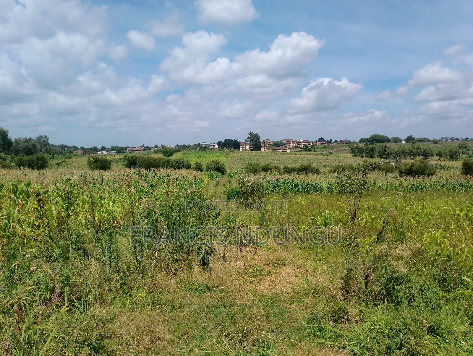 Residential Plots for Sale Anmer Estate Migaa in Tinganga
