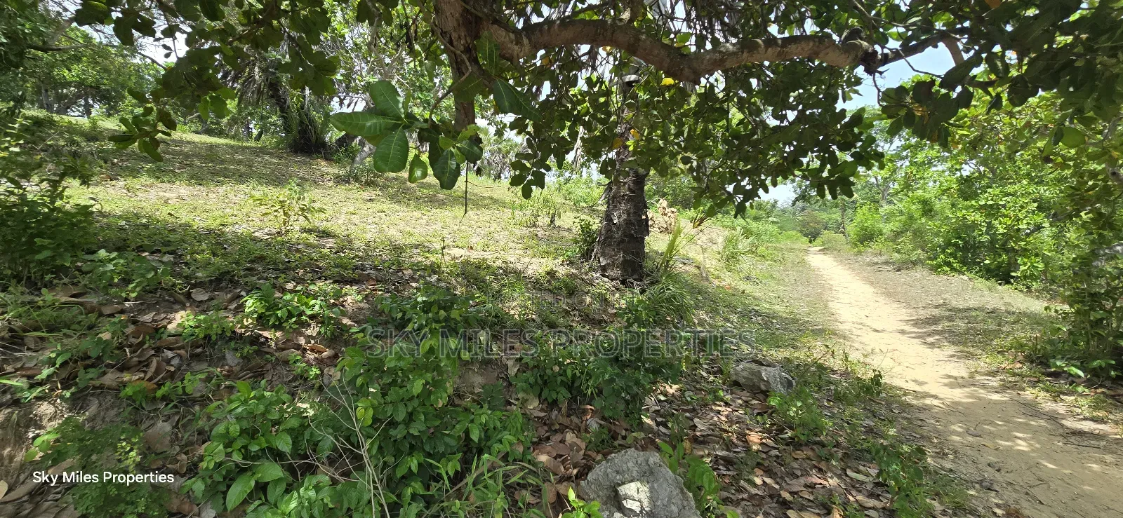 Mtwapa Creek Beach, 1.2-acre Land Available For Sale in Mtwapa