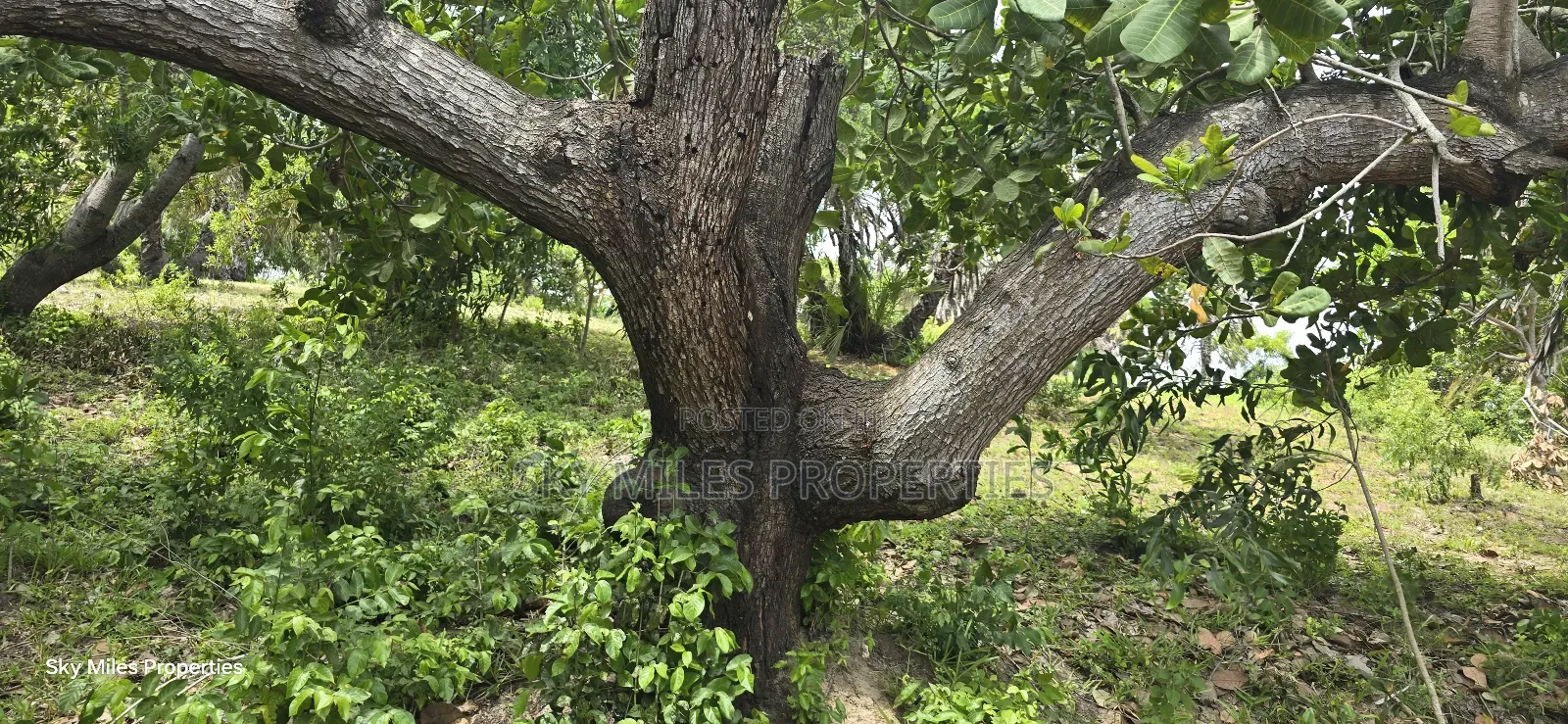 Mtwapa Creek Beach, 1.2-acre Land Available For Sale in Mtwapa