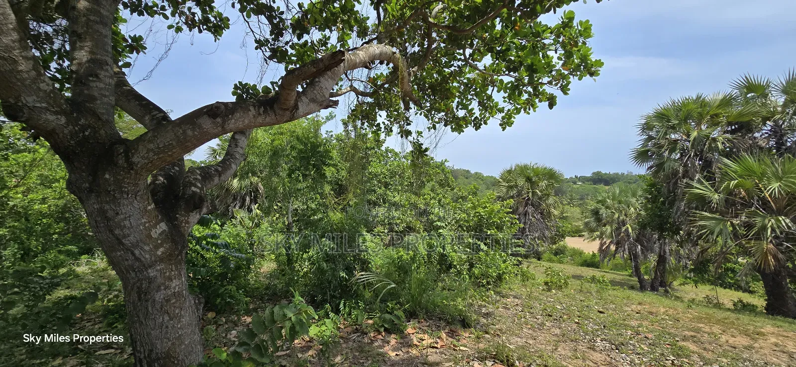 Mtwapa Creek Beach, 1.2-acre Land Available For Sale in Mtwapa