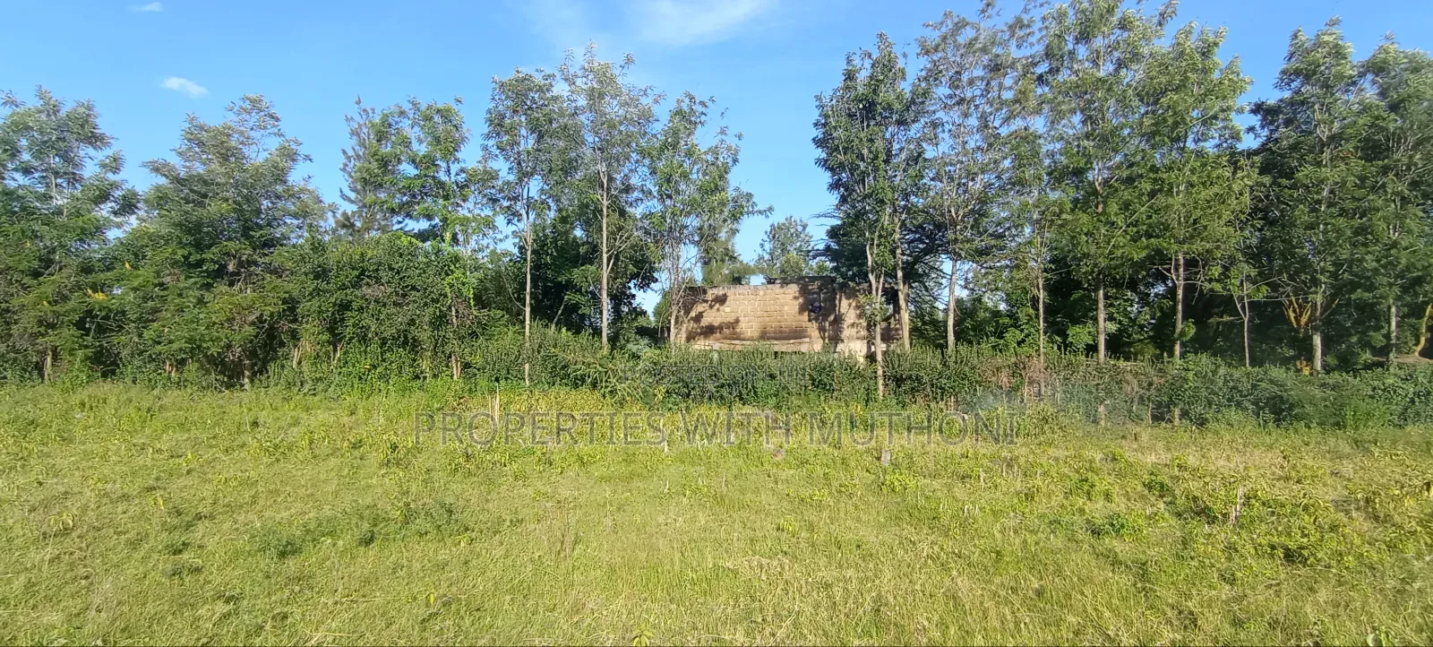 50×100 Plots for Sale in Matasia, Kiserian. in Matasia