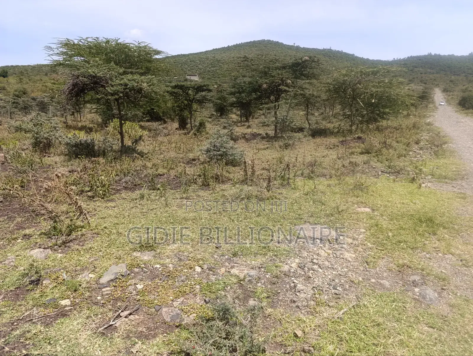50×100 Plot for Sale in Ngong Kibiku in Kibiku