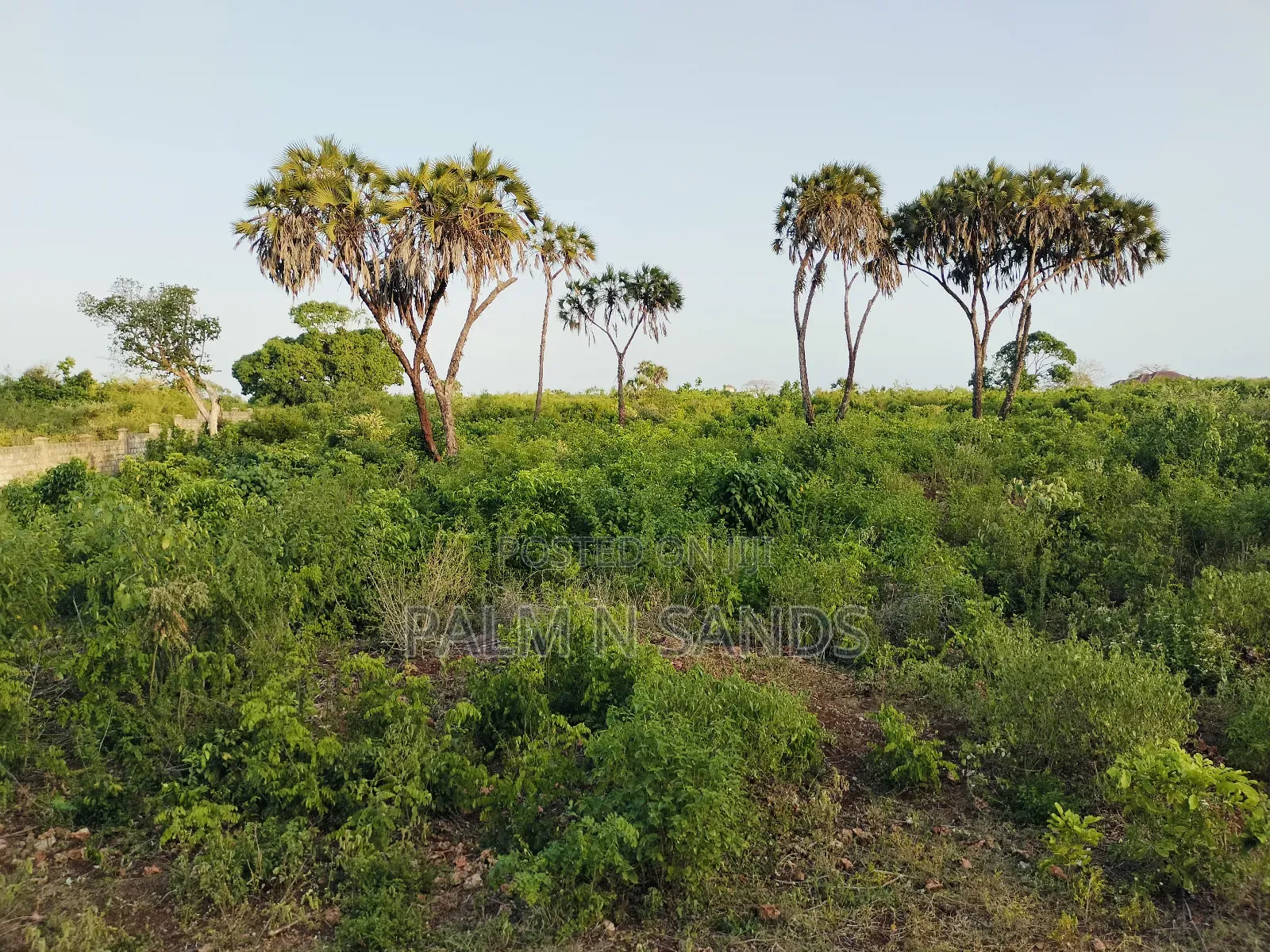 4.5 Acre Second Row Beach Property in Ukunda