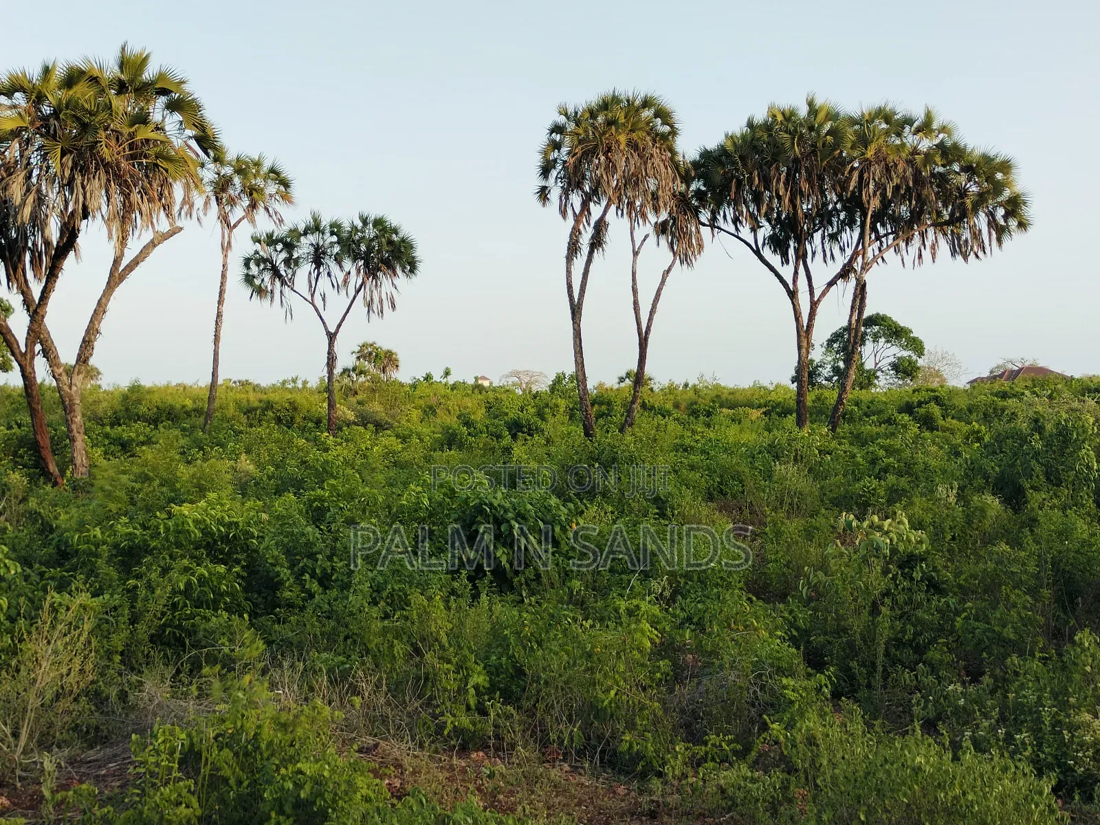 4.5 Acre Second Row Beach Property in Ukunda