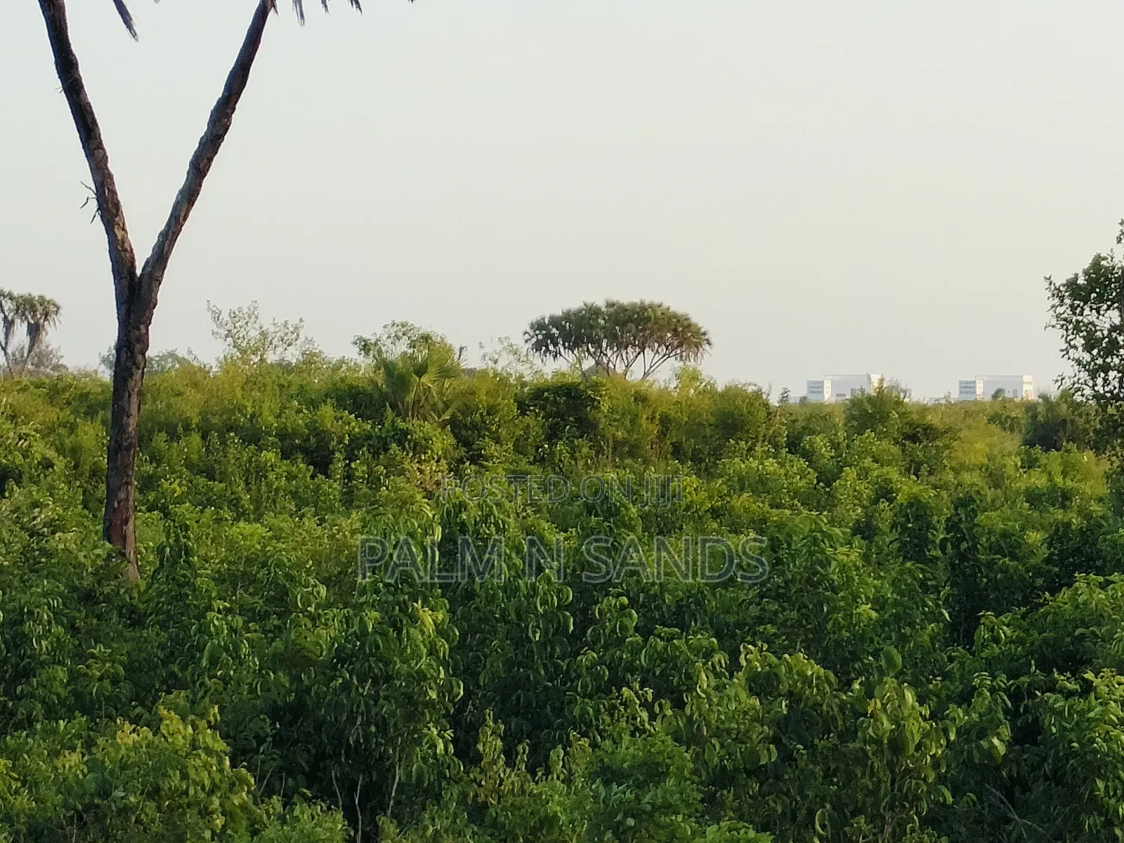 4.5 Acre Second Row Beach Property in Ukunda
