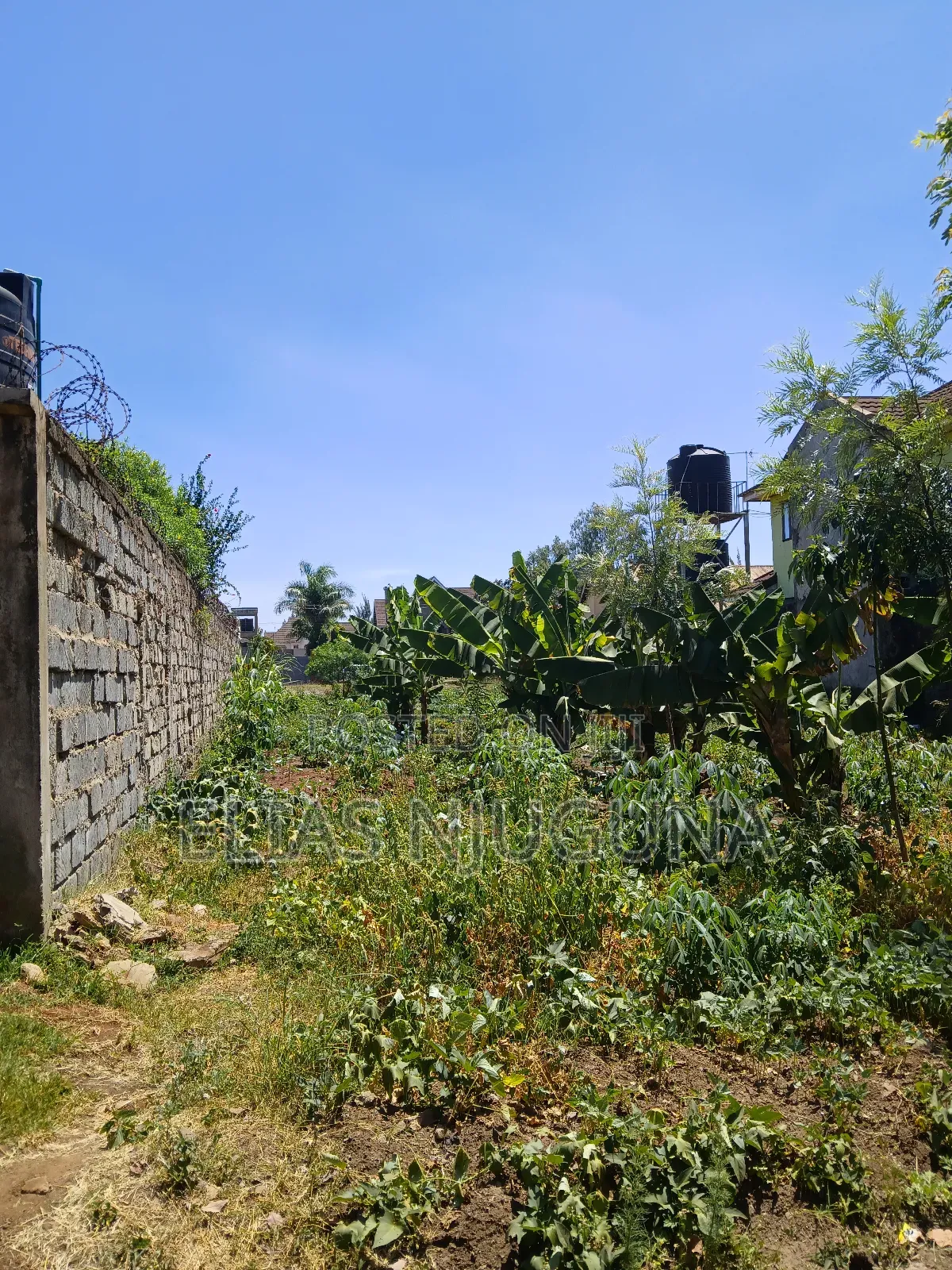Ruiru-Membley Plot 100"×50" Sweet Court , 200m From Bypass in Membley Estate