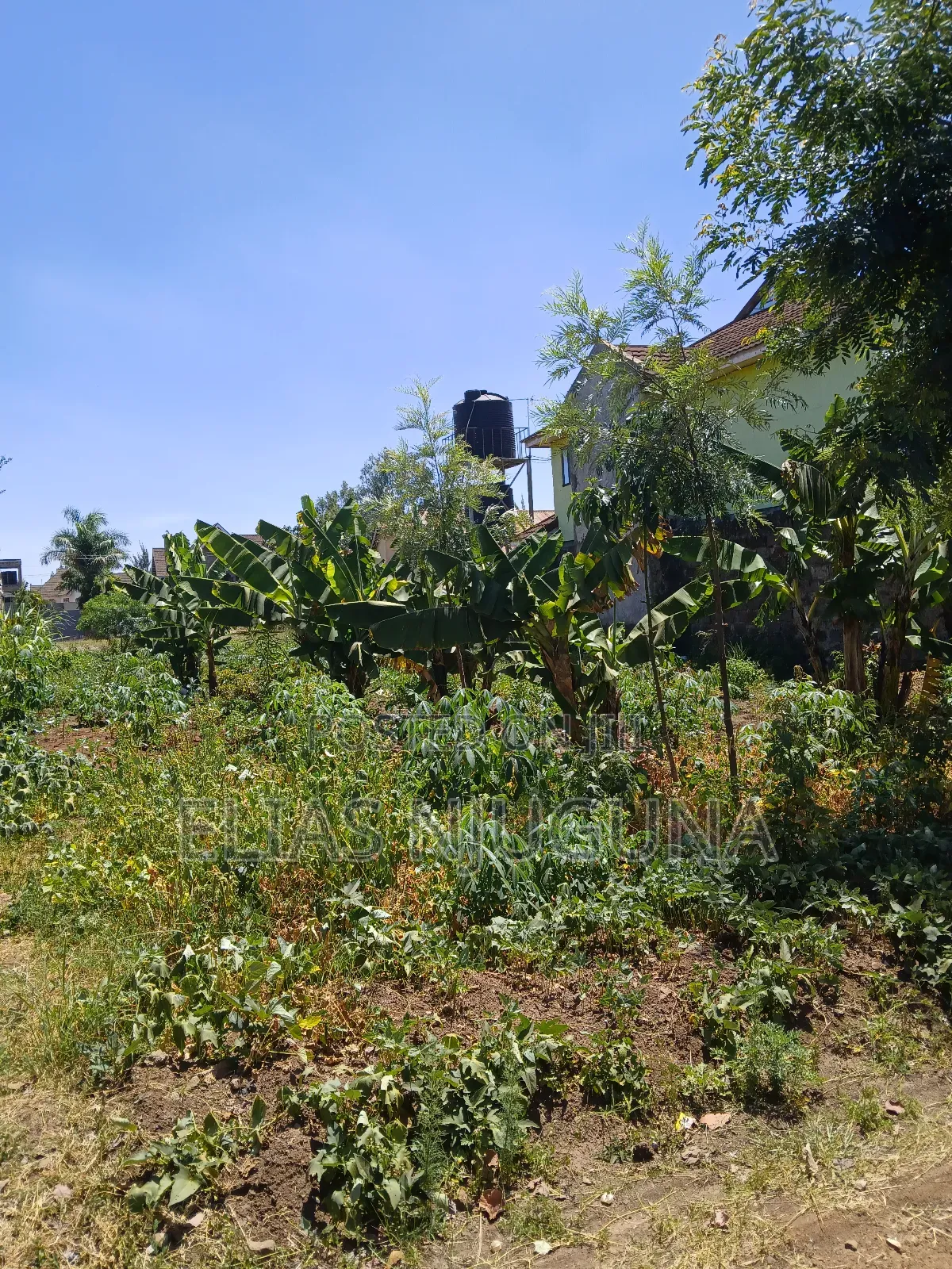 Ruiru-Membley Plot 100"×50" Sweet Court , 200m From Bypass in Membley Estate