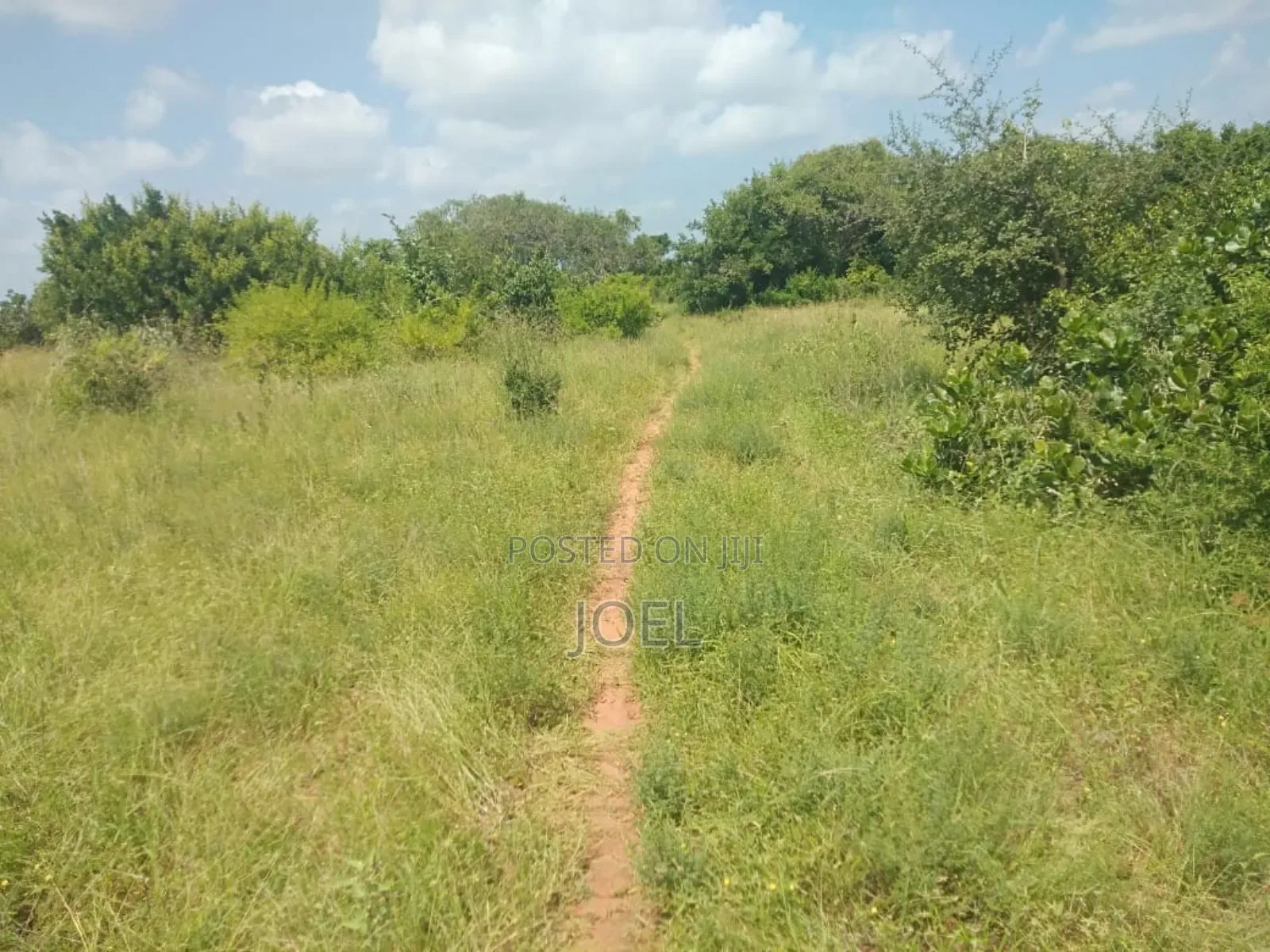 Malindi 5-Acre Land: A Perfect Investment Opportunity in Malindi