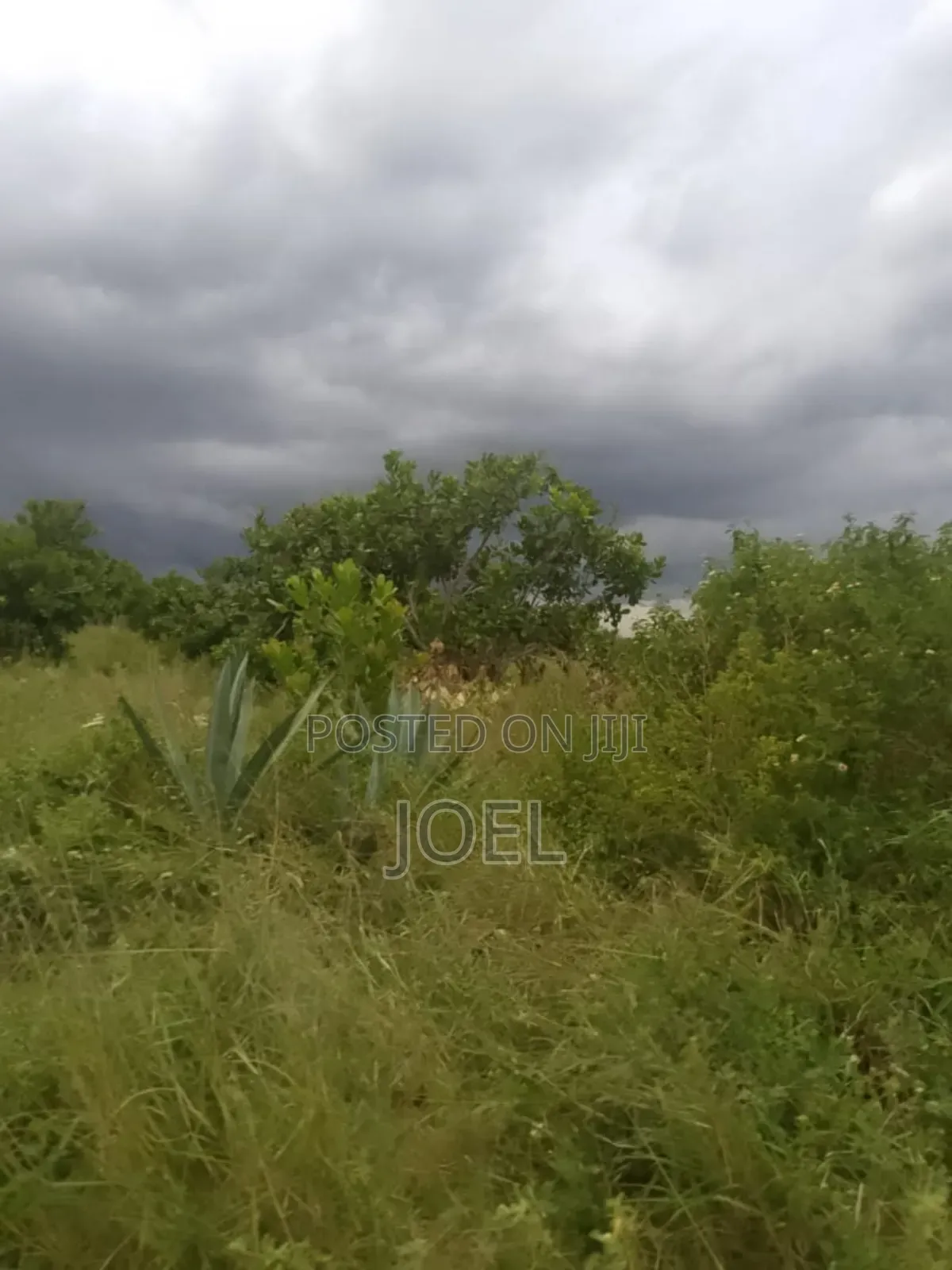 Malindi, Kenya: 4-acre plot of vacant land for sale in Malindi
