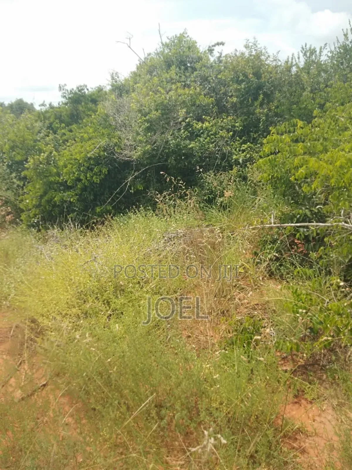 Malindi, Kenya: 4-acre plot of vacant land for sale in Malindi