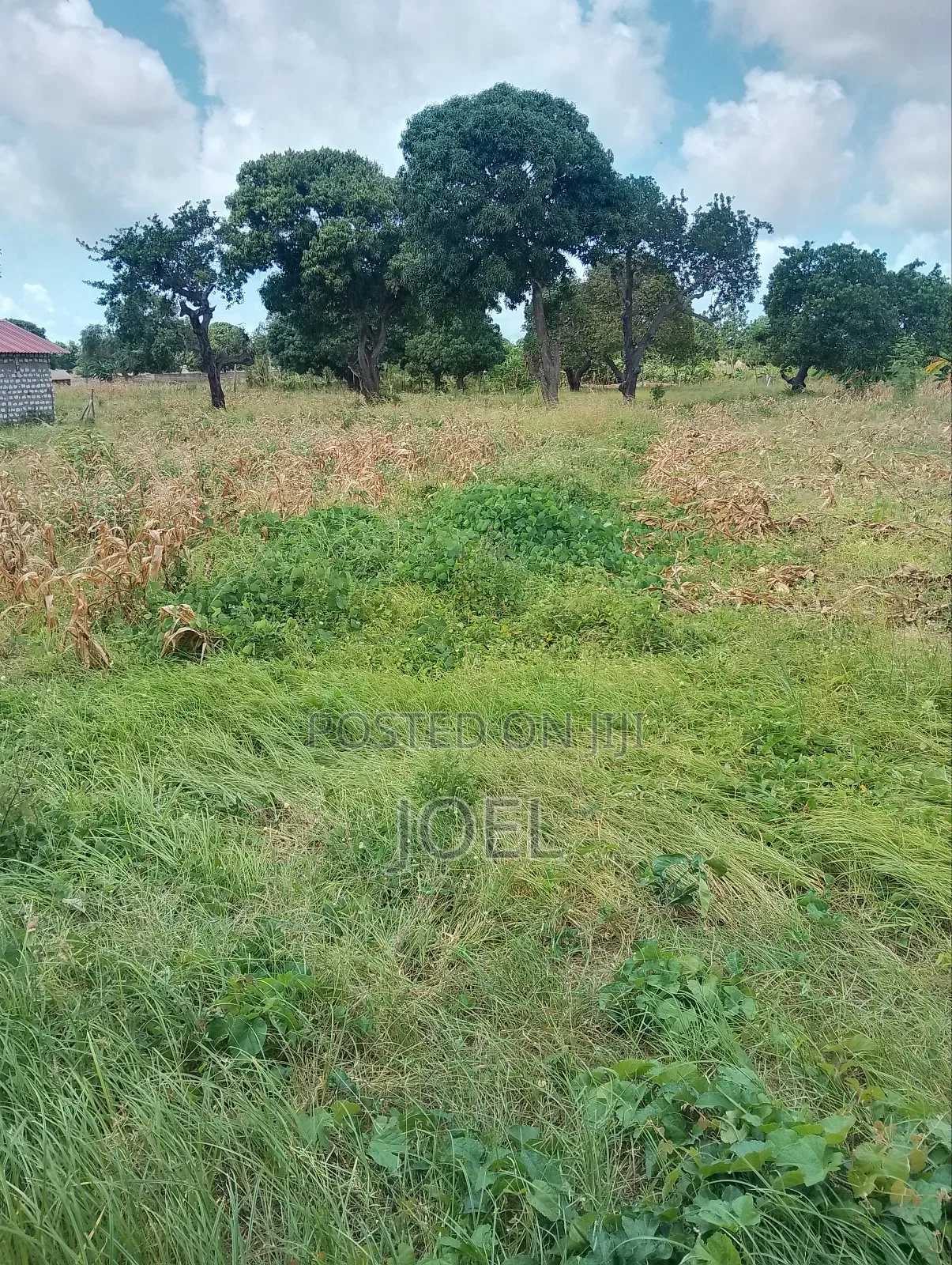 Ready-to-Buy 10-Acre Malindi Land with Title Deed in Town Centre