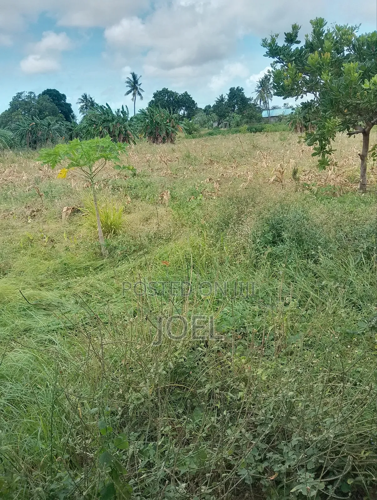 Ready-to-Buy 10-Acre Malindi Land with Title Deed in Town Centre