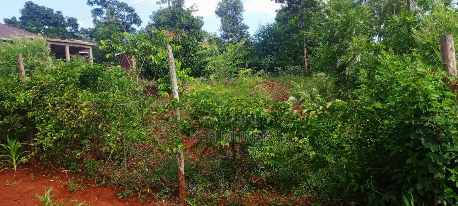 50x100 Sagana Plot in Kiine