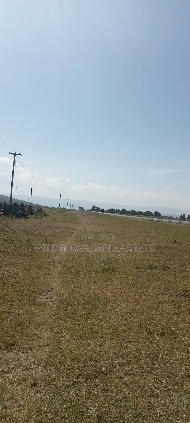 Land on Sale at Longonot Naivasha in Mai Mahiu