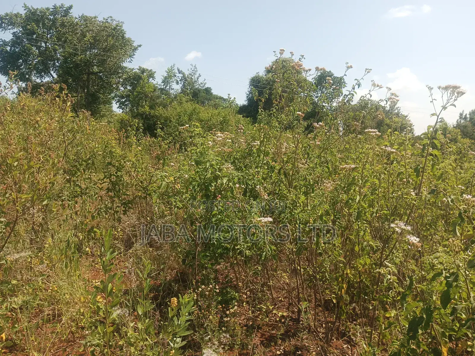Land for Sale in Kariti