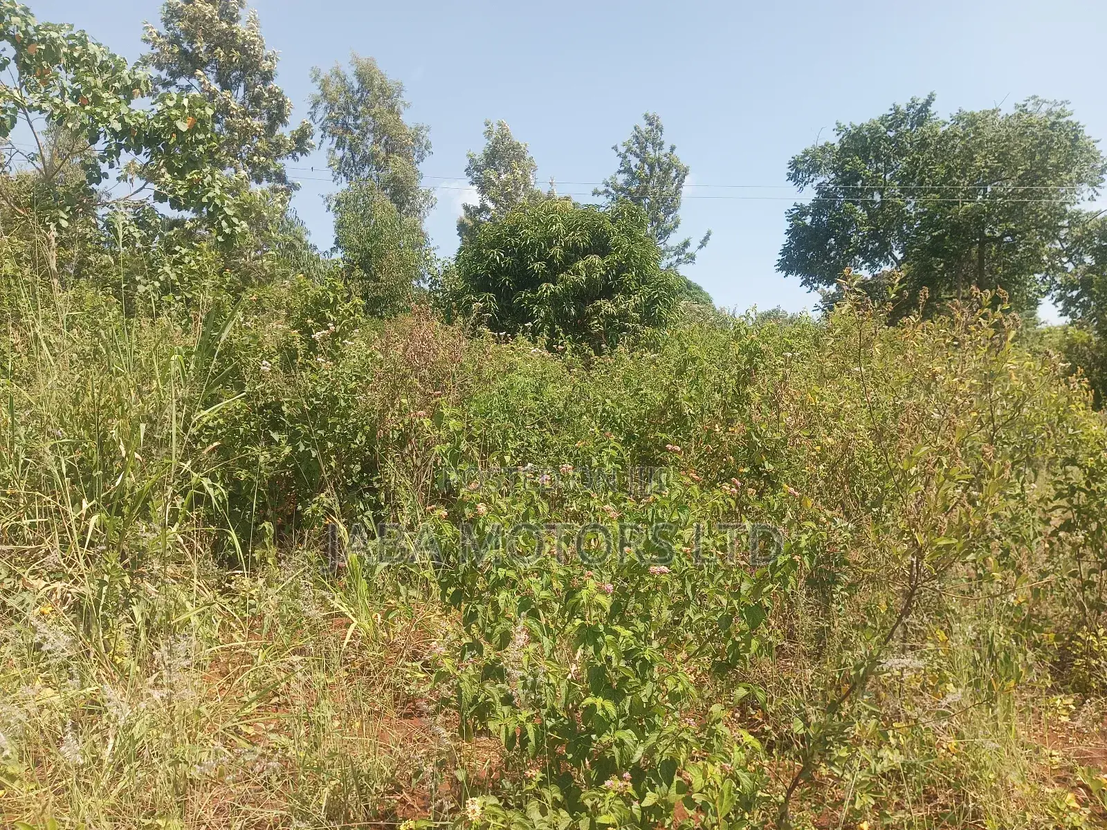 Land for Sale in Kariti