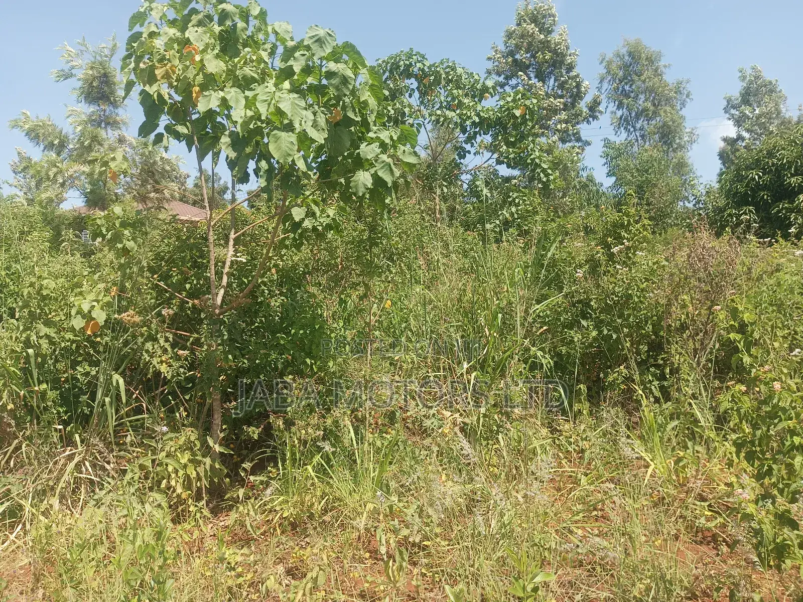 Land for Sale in Kariti