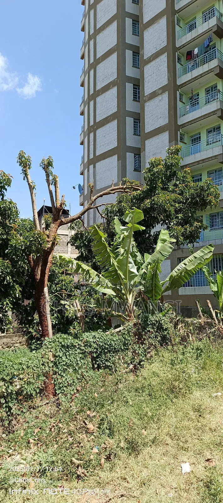 Ready Title in Seasons Estate