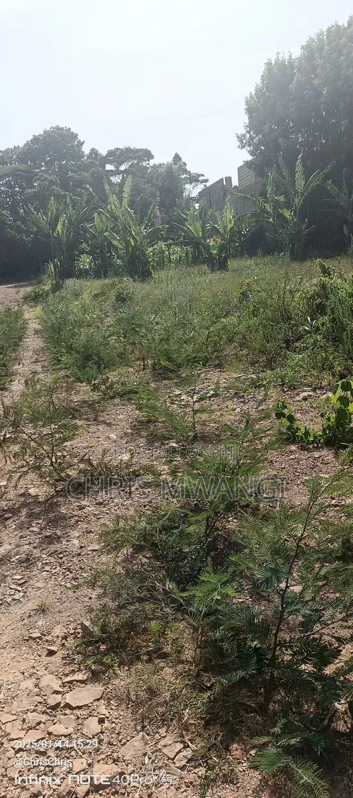 Clean Title Deed in Kinoo
