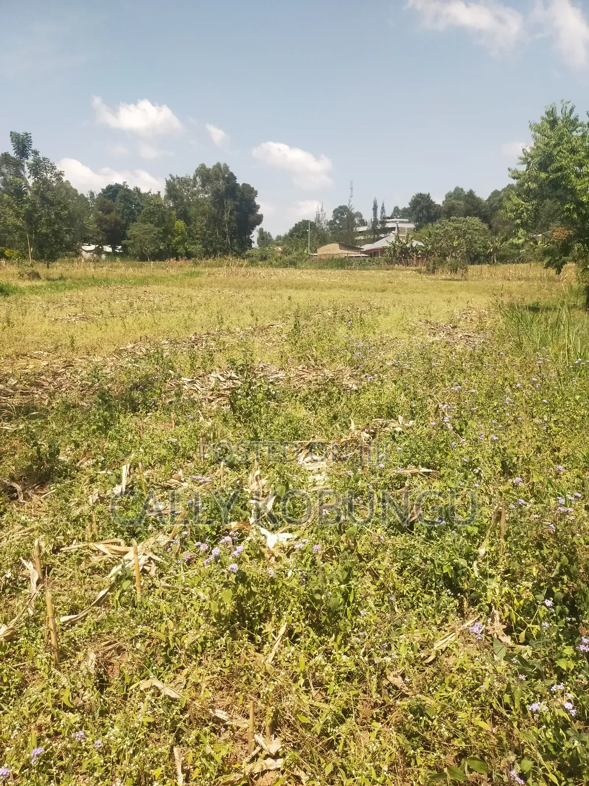 2.5 Acres in Kakamega, Shirere in Butsotso Central