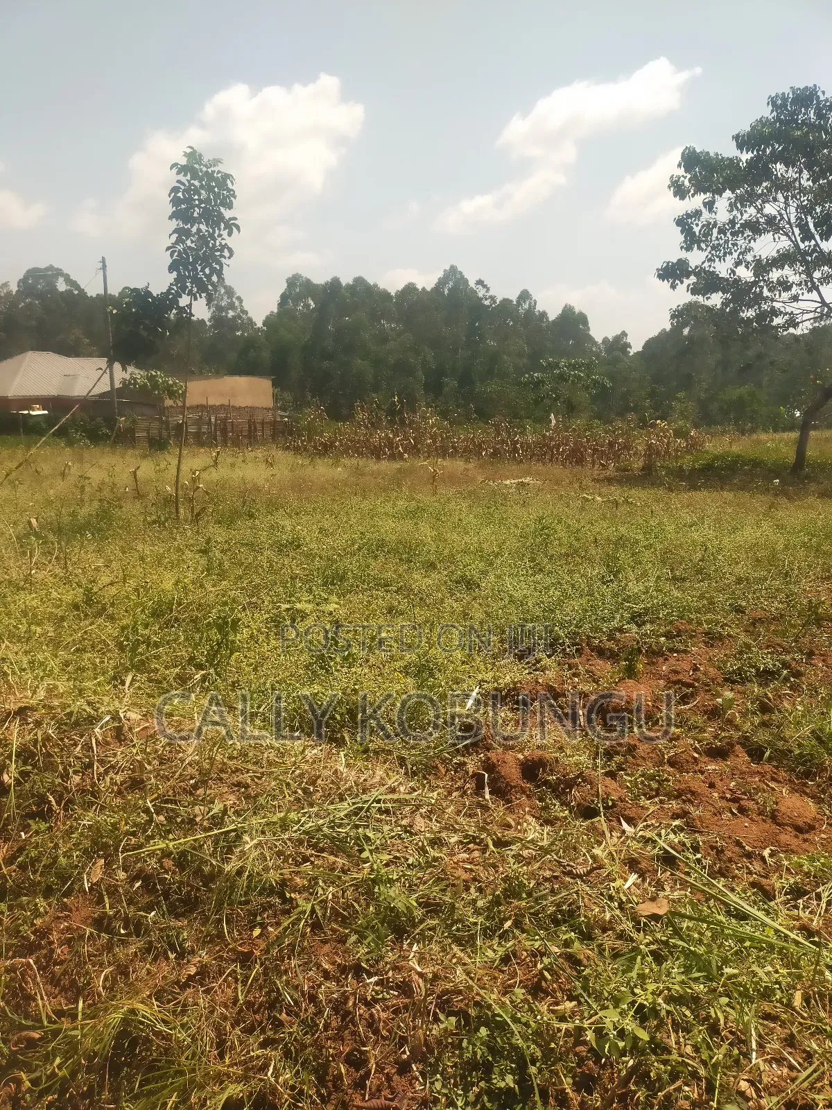 2.5 Acres in Kakamega, Shirere in Butsotso Central