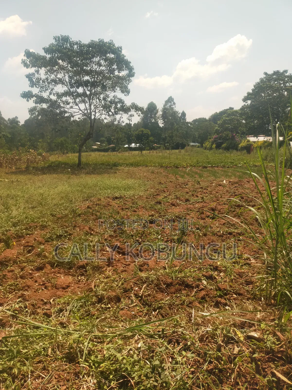 2.5 Acres in Kakamega, Shirere in Butsotso Central