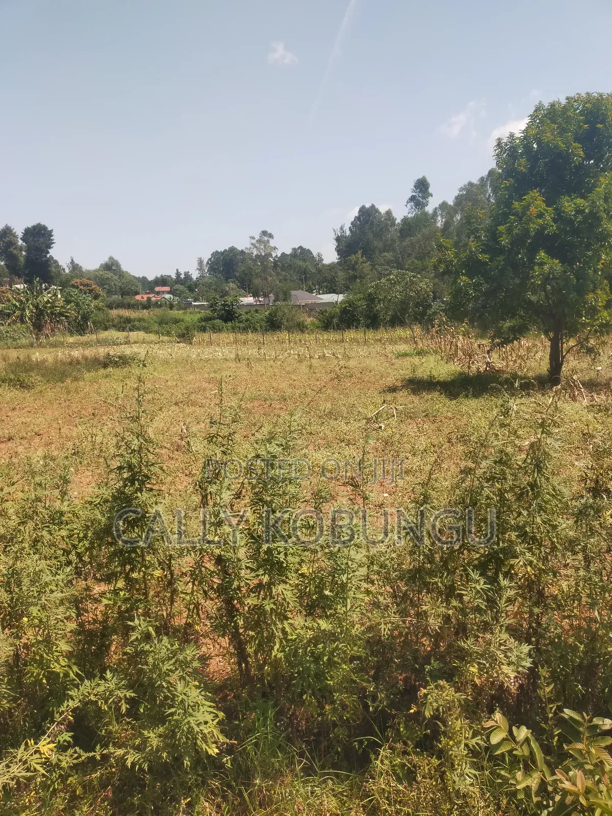 2.5 Acres in Kakamega, Shirere in Butsotso Central