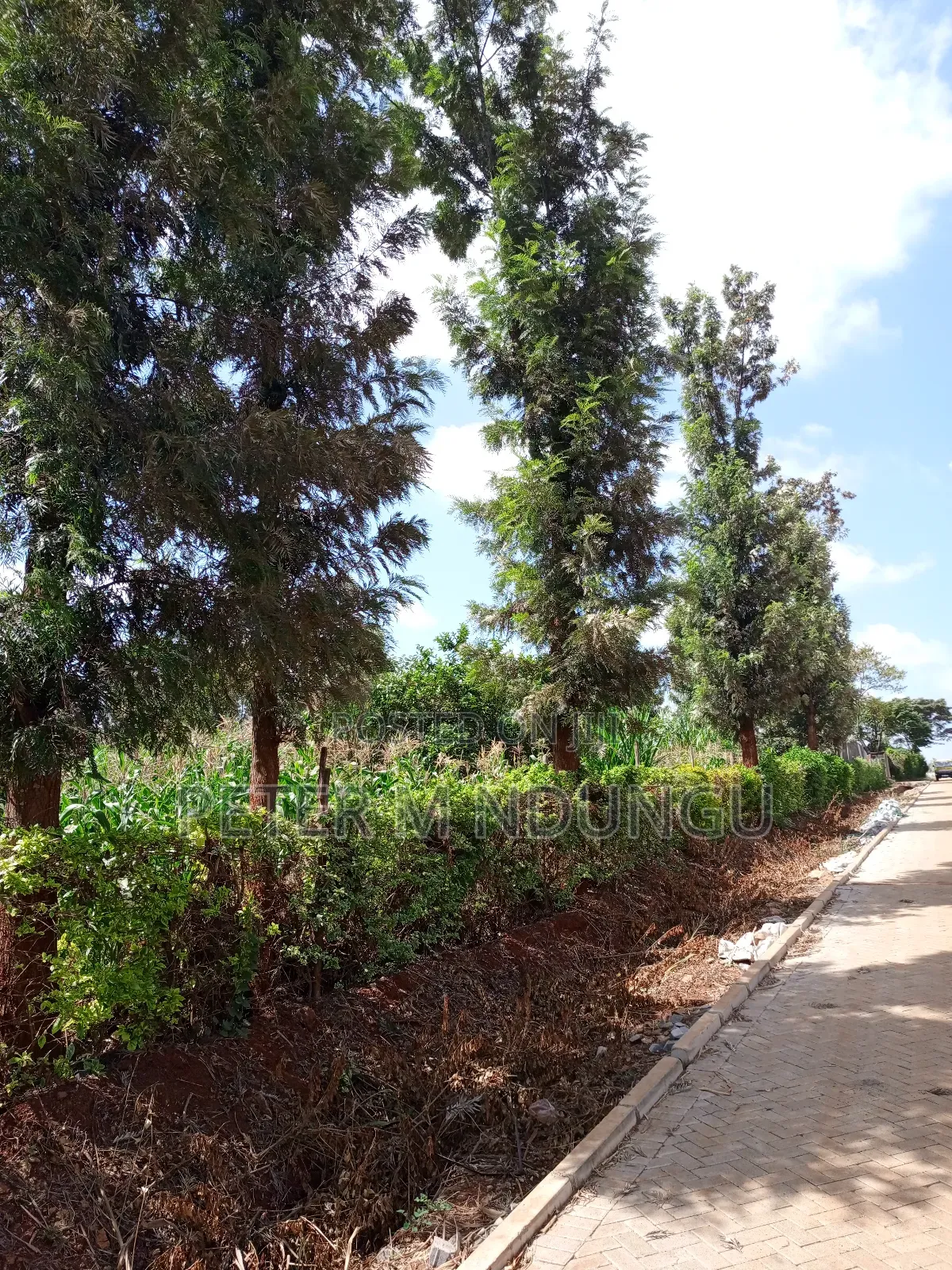 Prime One Acre, Kiukenda in Nairobi Central