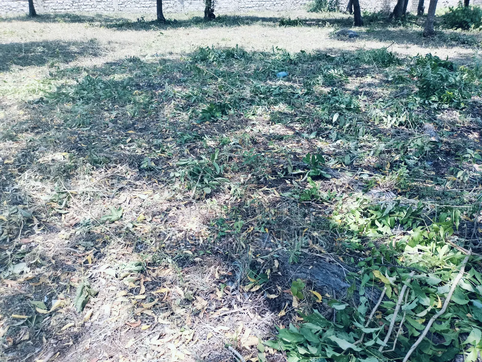 One Acre Third Row Prime Land in Baobab Hotel Area!! in Ukunda