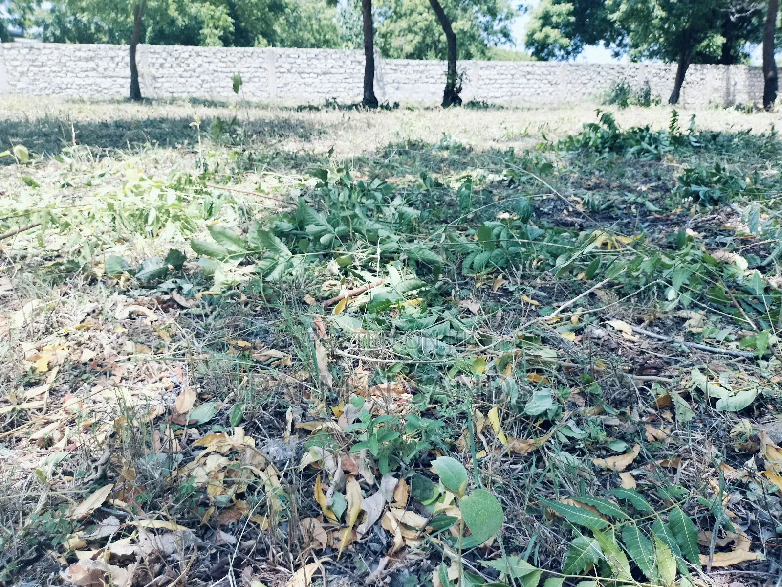 One Acre Third Row Prime Land in Baobab Hotel Area!! in Ukunda