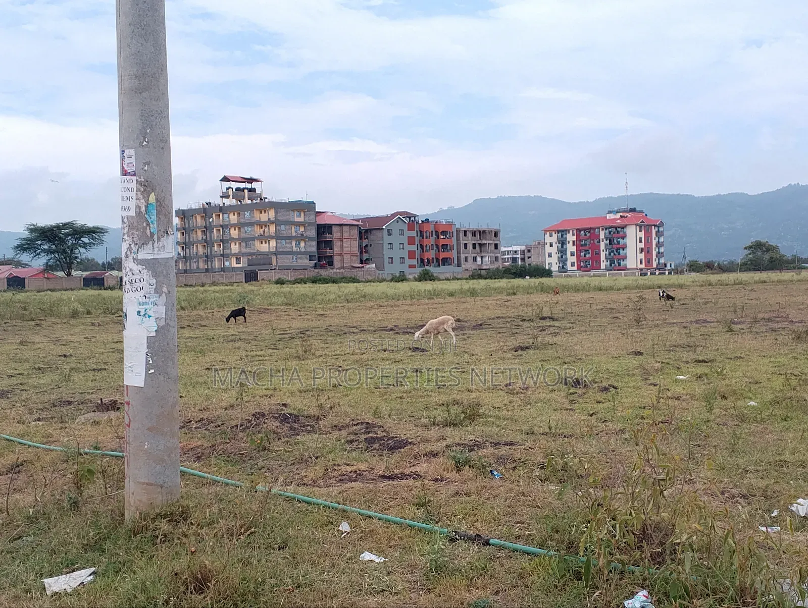 Machakos -Kenya Israel Plot 1/4 in Machakos Town